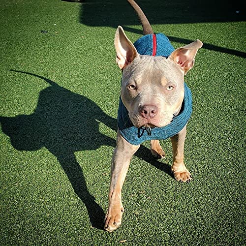 Zip Up Fleece Dog Sweater (2X-Large chest (~25.5") / Turquoise Wash)