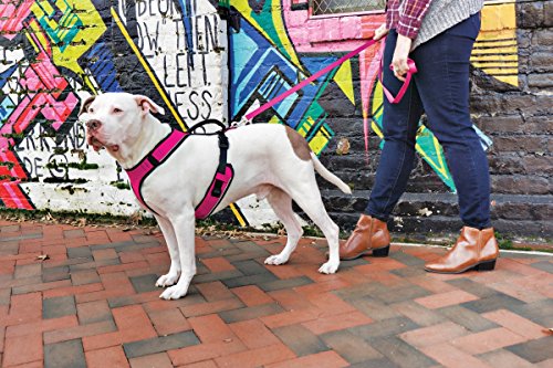 EasySport Dog Harness (Extra Small / Pink)