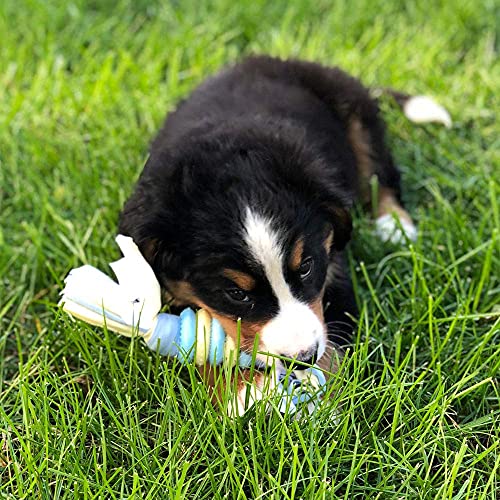 Snuggle Puppy Essentials Starter Kit (Blue)