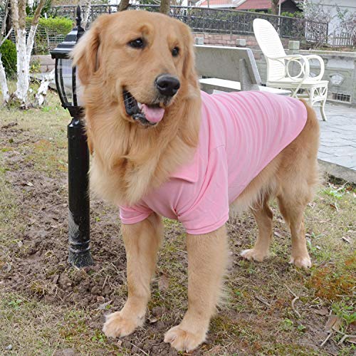 Basic Dog Polo Shirts Premium Cotton (XS (-6lbs) / Pink)