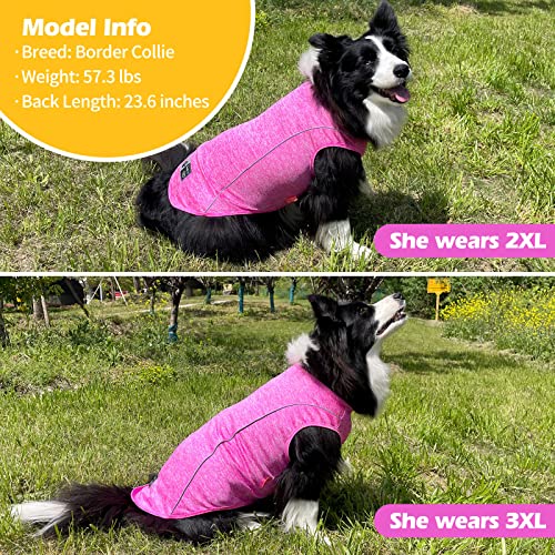 Reflective Dog Shirt (XX-Large (40-55lbs) / 4#Rose Red)