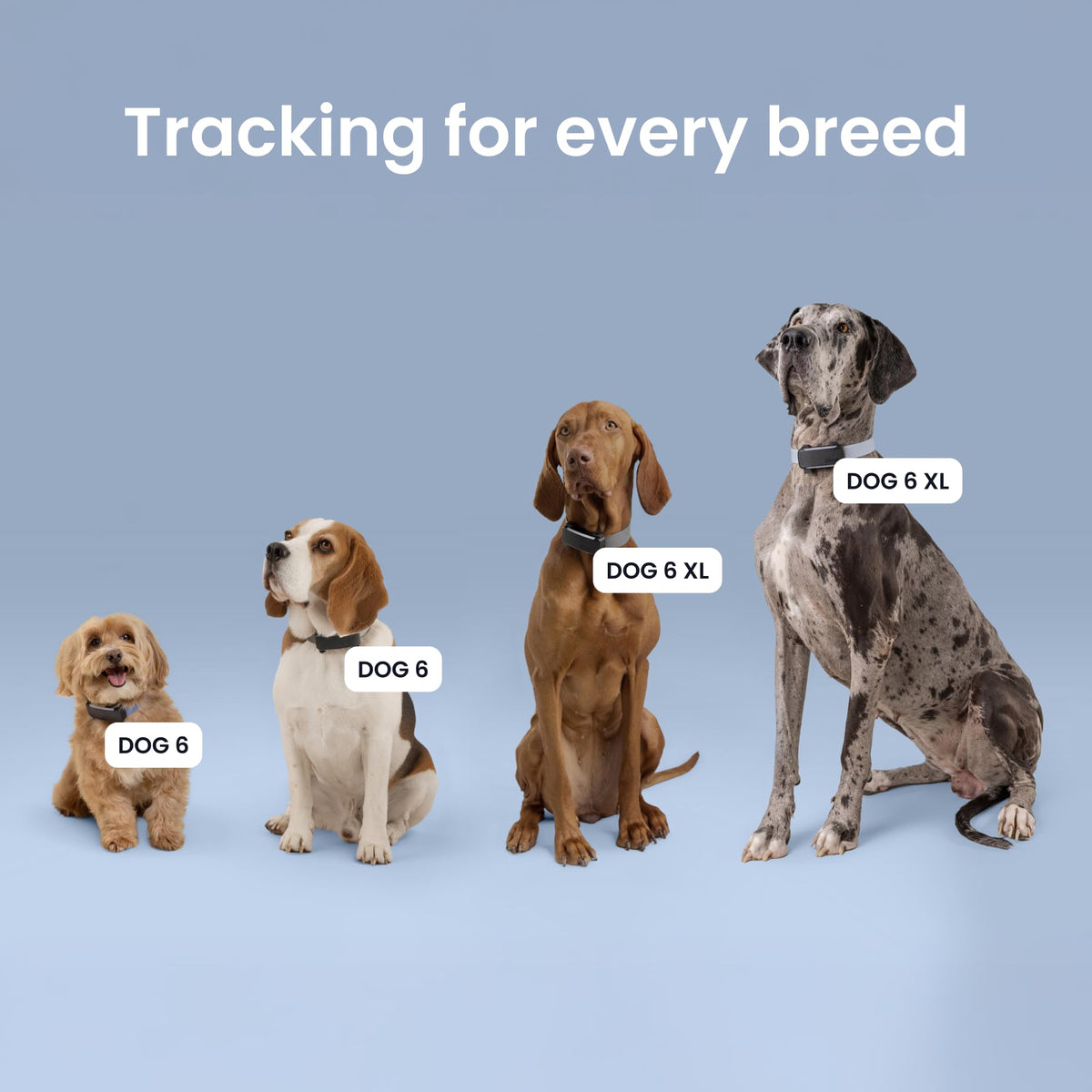 XL Smart Dog GPS Tracker (Black)