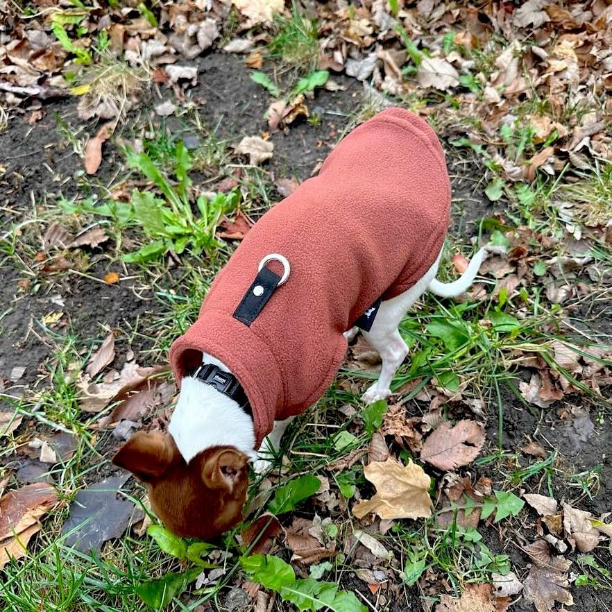 Dog Fleece Vest Sweater with Leash Ring (XS (2-4lbs) / Chocolate Brown)