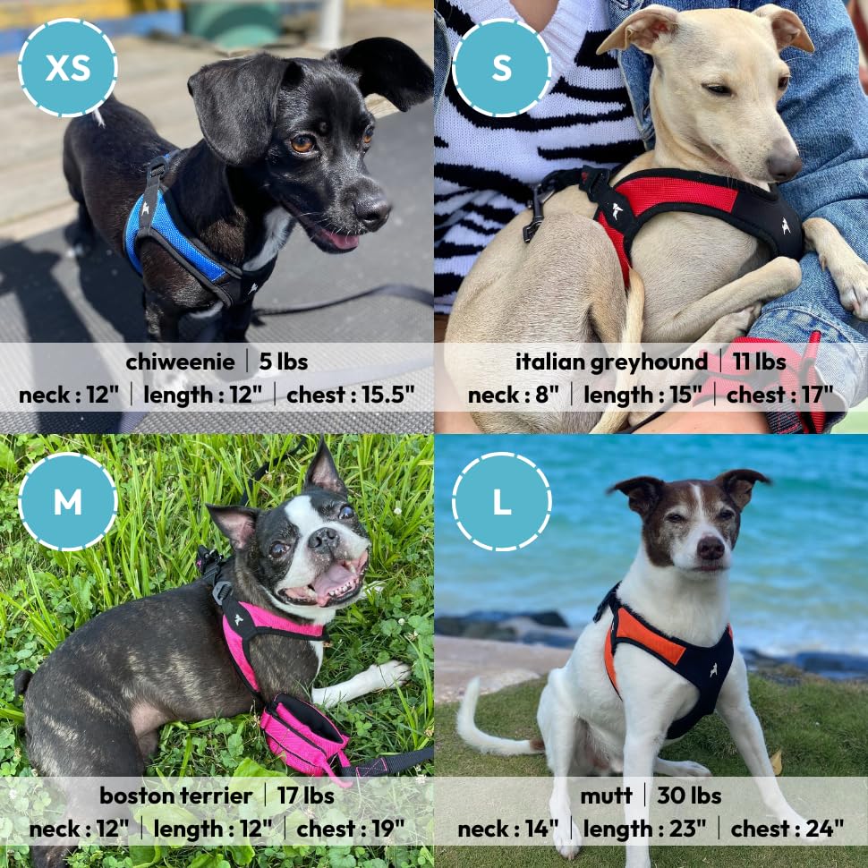 Escape Free Easy Fit Dog Harness (Small chest (16~19.25") / Black)