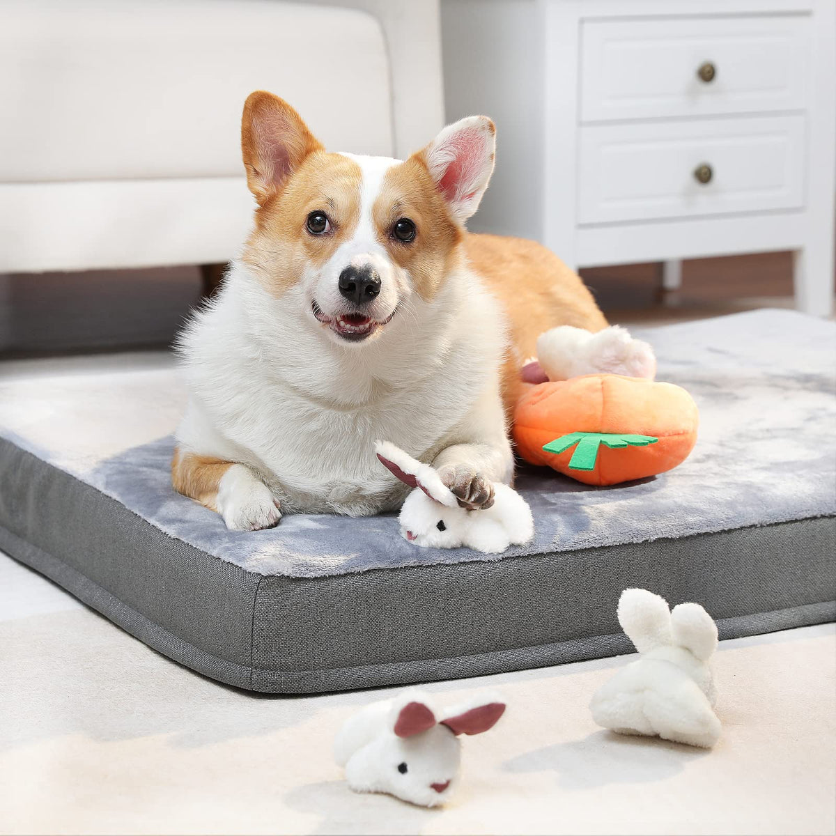 Interactive Hide and Seek Squeaky Dog Plush Toy with Squeaker for Small Dogs