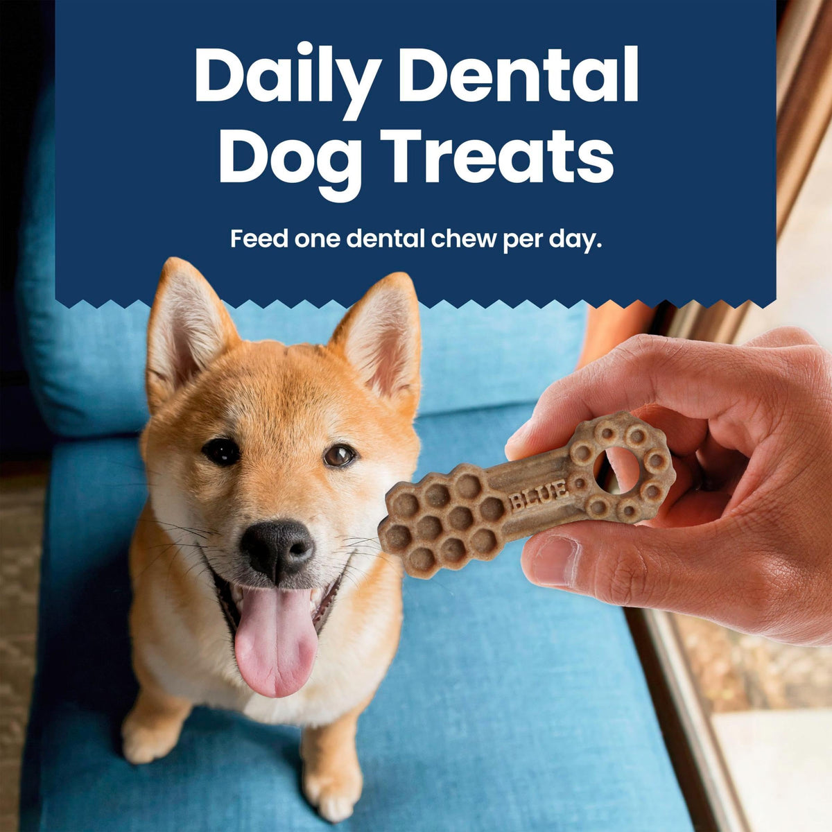 Chicken & Spearmint Medium Dental Chews (23 Ounce (Pack of 1))