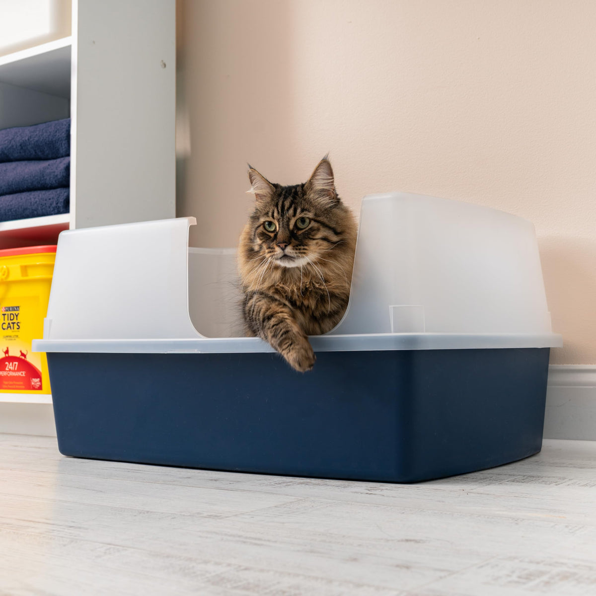 XX Large Side Entry Cat Litter Box (XXL Side Entry / Navy)