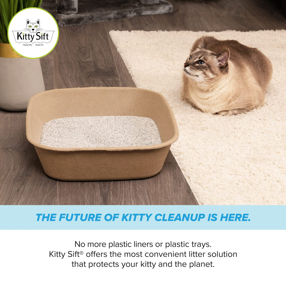 Disposable Cat Litter Box Jumbo (Litter Box Only / Jumbo (6-Piece Set))