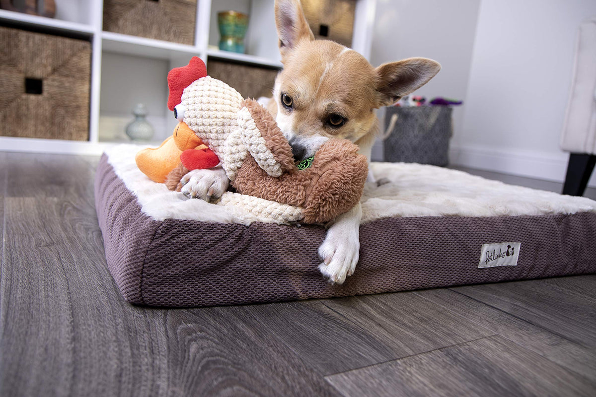 Checkers Skinny Rooster Squeaky Plush Dog Toy (Checkers - Skinny Rooster (Brown) / Small)