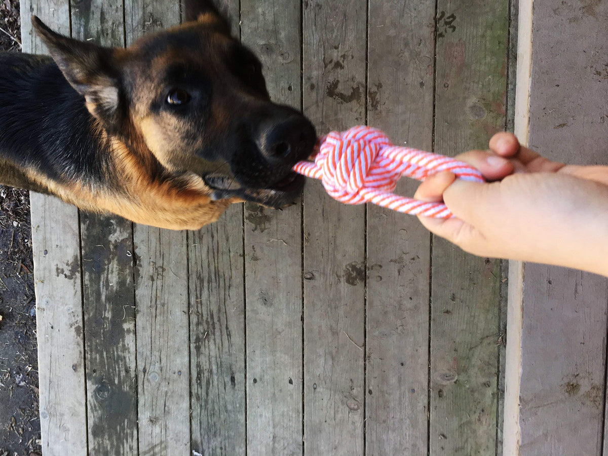 14 Pack Puppy Chew Dog Rope Toy Assortment for Small Medium Large Breeds (14 Pack Rope Combo)
