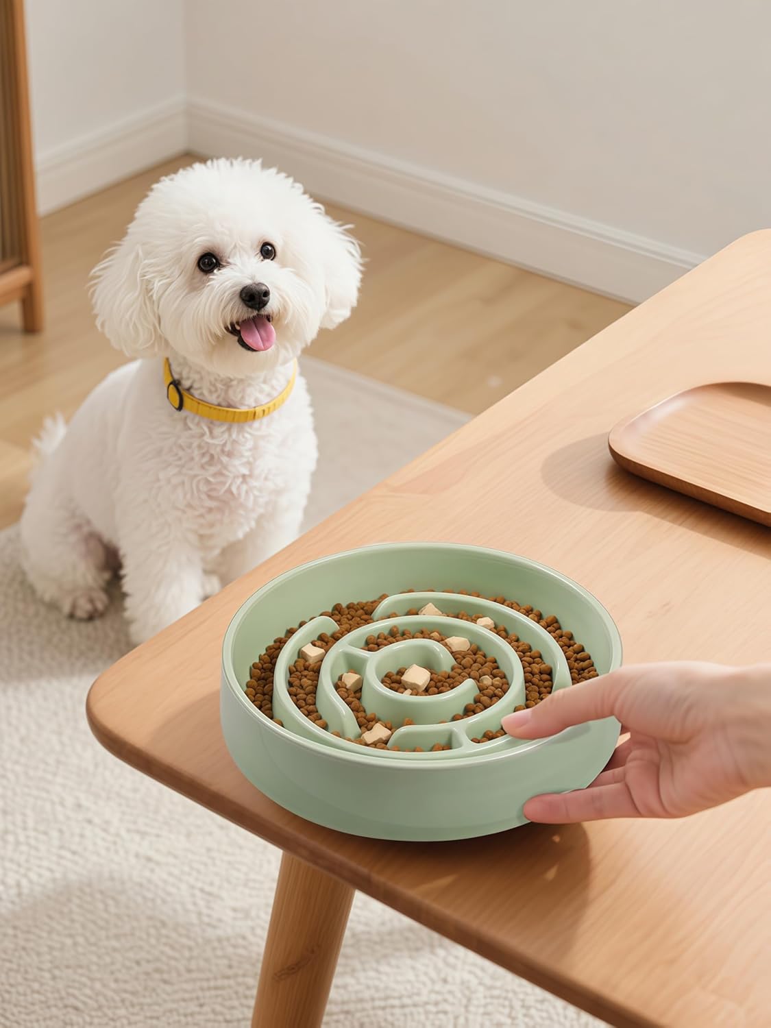Ceramic Slow Feeder Dog Bowl (Green)