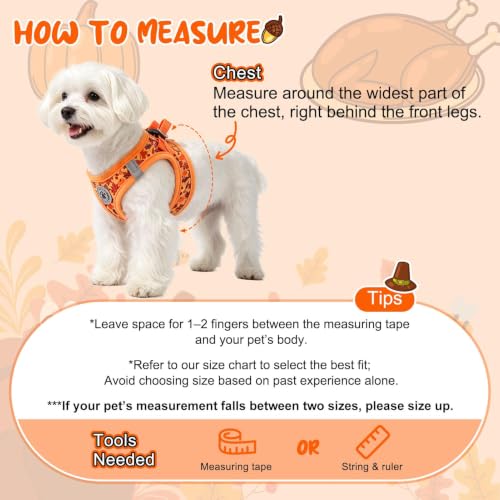 Small Dog Harness and Leash Set (Medium(Chest Girth 16" - 18") / Autumn)