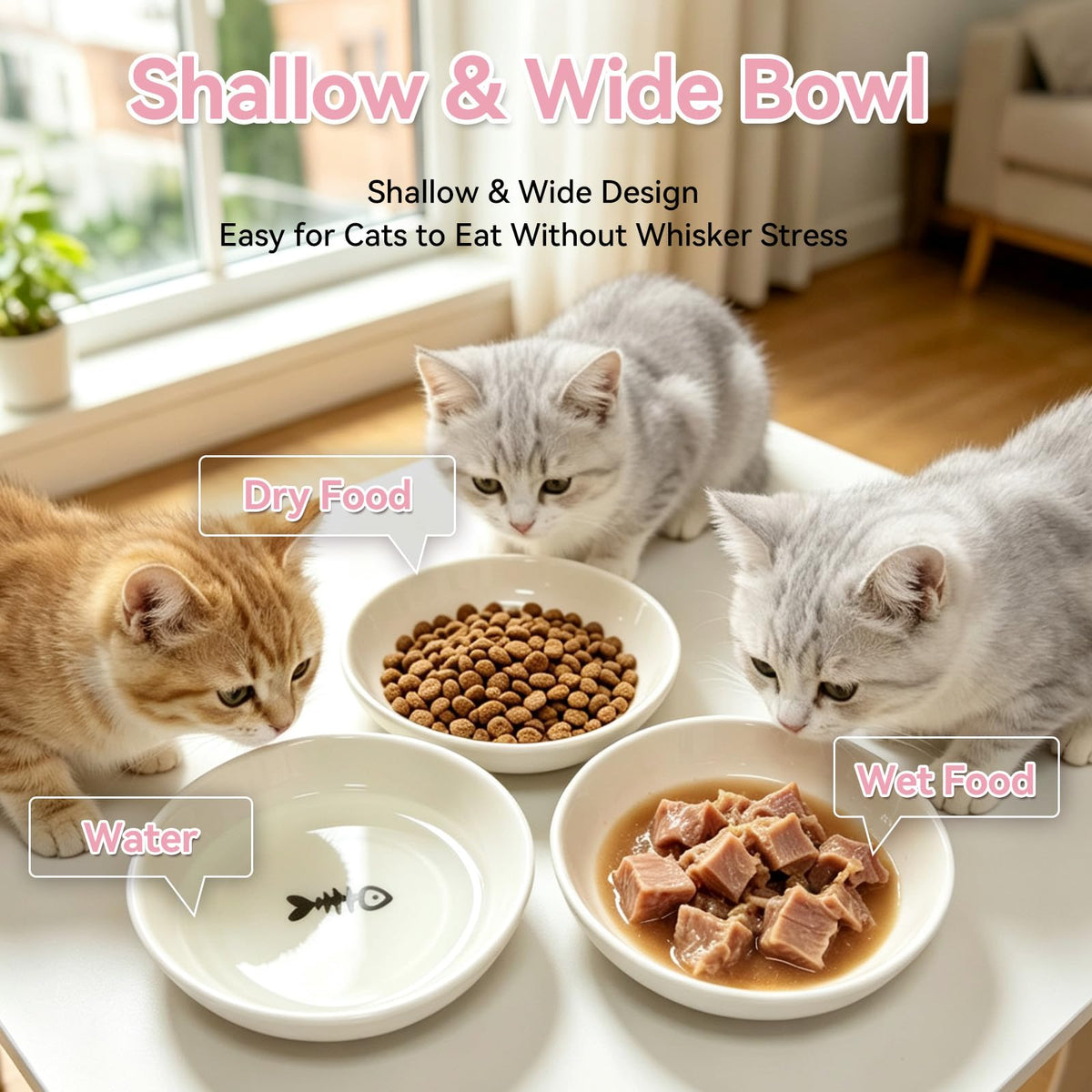 4 Pack Ceramic Cat Bowls with Silicone Base