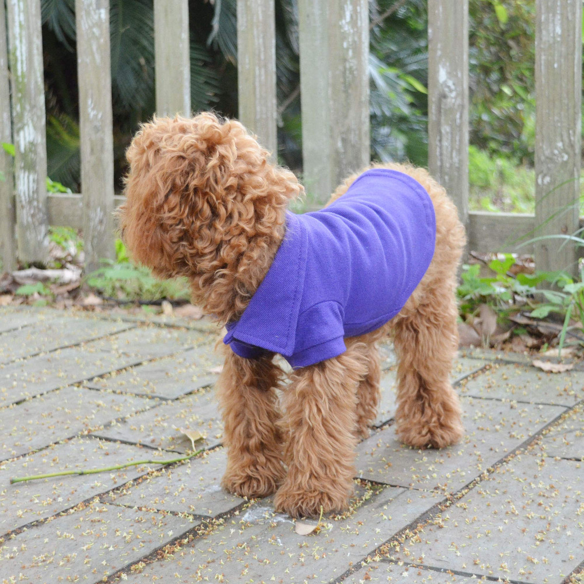 Basic Dog Polo Shirts Premium Cotton (XL (-35lbs) / Purple)