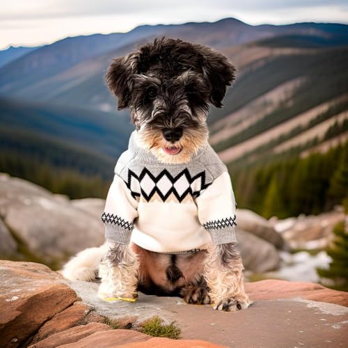 Dog Sweater for Small Dogs (Medium)