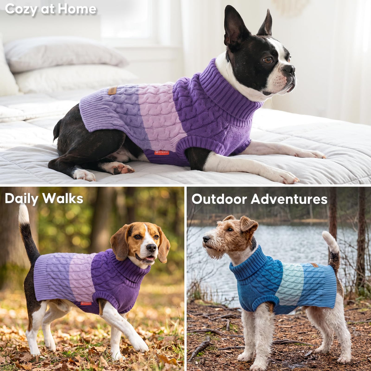 Turtleneck Dog Sweater for Small Dogs Color Block Thermal Knit (Medium / Blue)