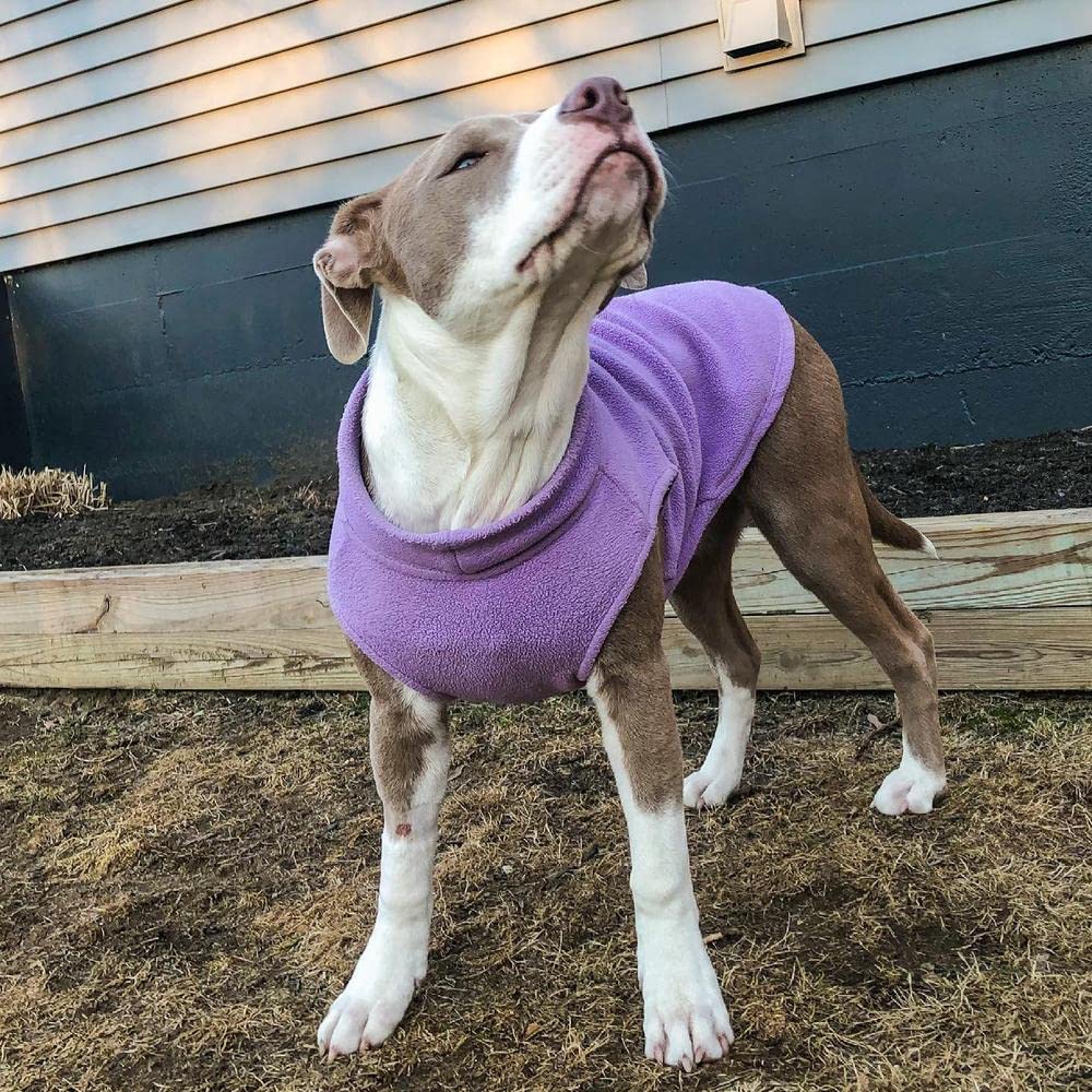 Stretch Fleece Vest Dog Sweater (X-Small Length (7") / Lavender)