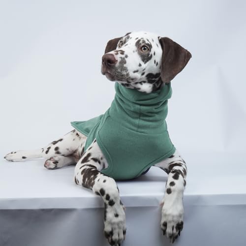 Dog Anxiety Jacket (4XL / Green)
