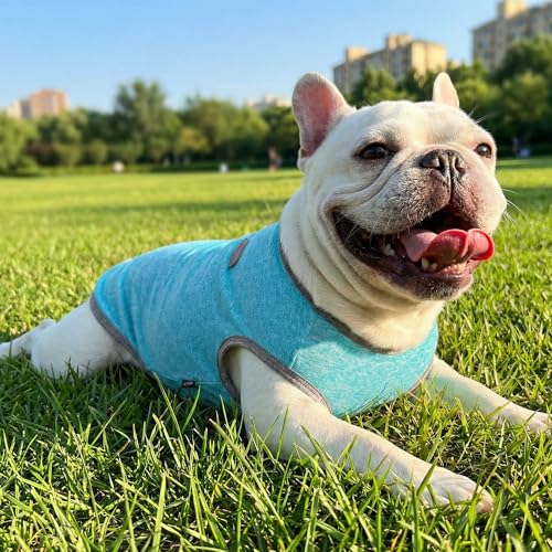 3 Pack Lightweight Sun Protection Dog Shirt Breathable Sleeveless Dog T Shirts Extra Soft Top Tank Dog Clothes for Outdoor Activities (Purple + Skin Pink + Light Pink / M (Back: 14.6",Chest: 19.7", Neck 13.4"))