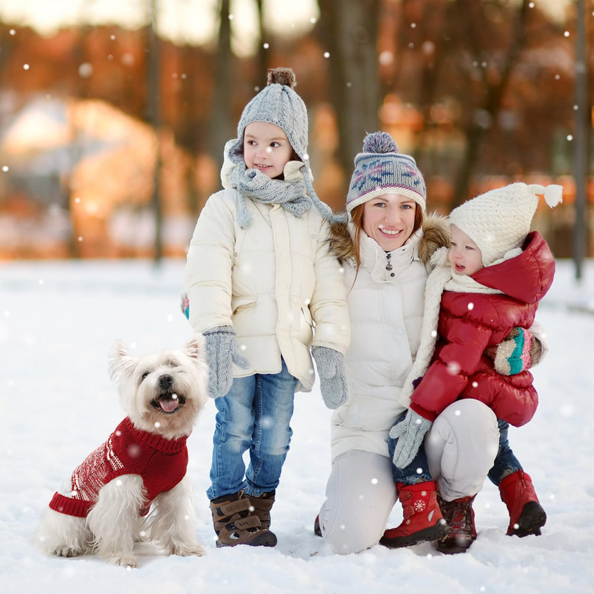 Soft Warm Dog Sweater for Small Dogs & Cats (X-Small / #1 Red)