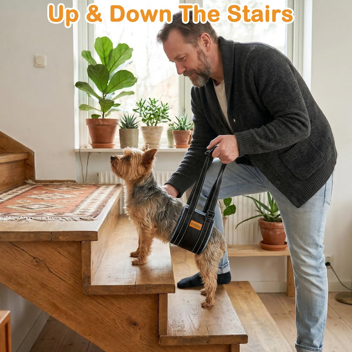 Dog Lift Sling for Small Dogs (S)