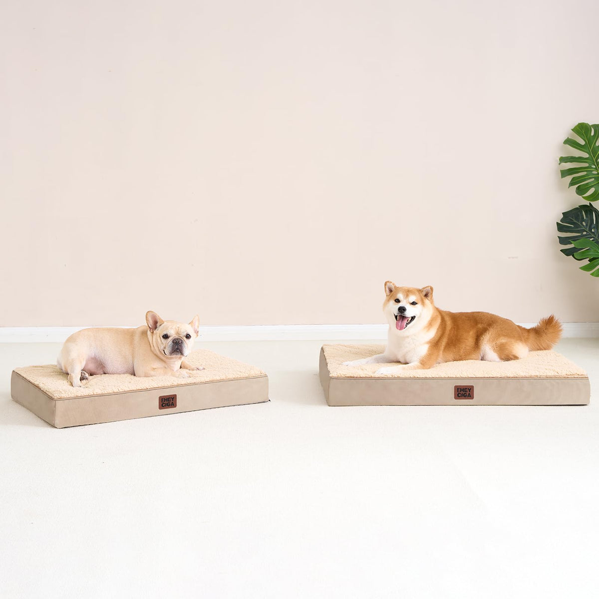 Orthopedic Dog Bed Large with Removable Washable Cover (47*29*3.5 inches / khaki)