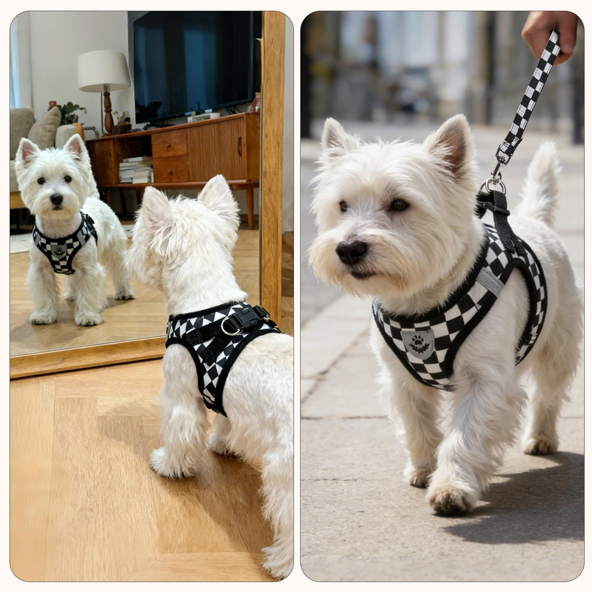 Dog Harness Collar and Leash Set No Pull for Small Medium Sized (Black&White (Checkered) / L (CHEST 18"-20"))