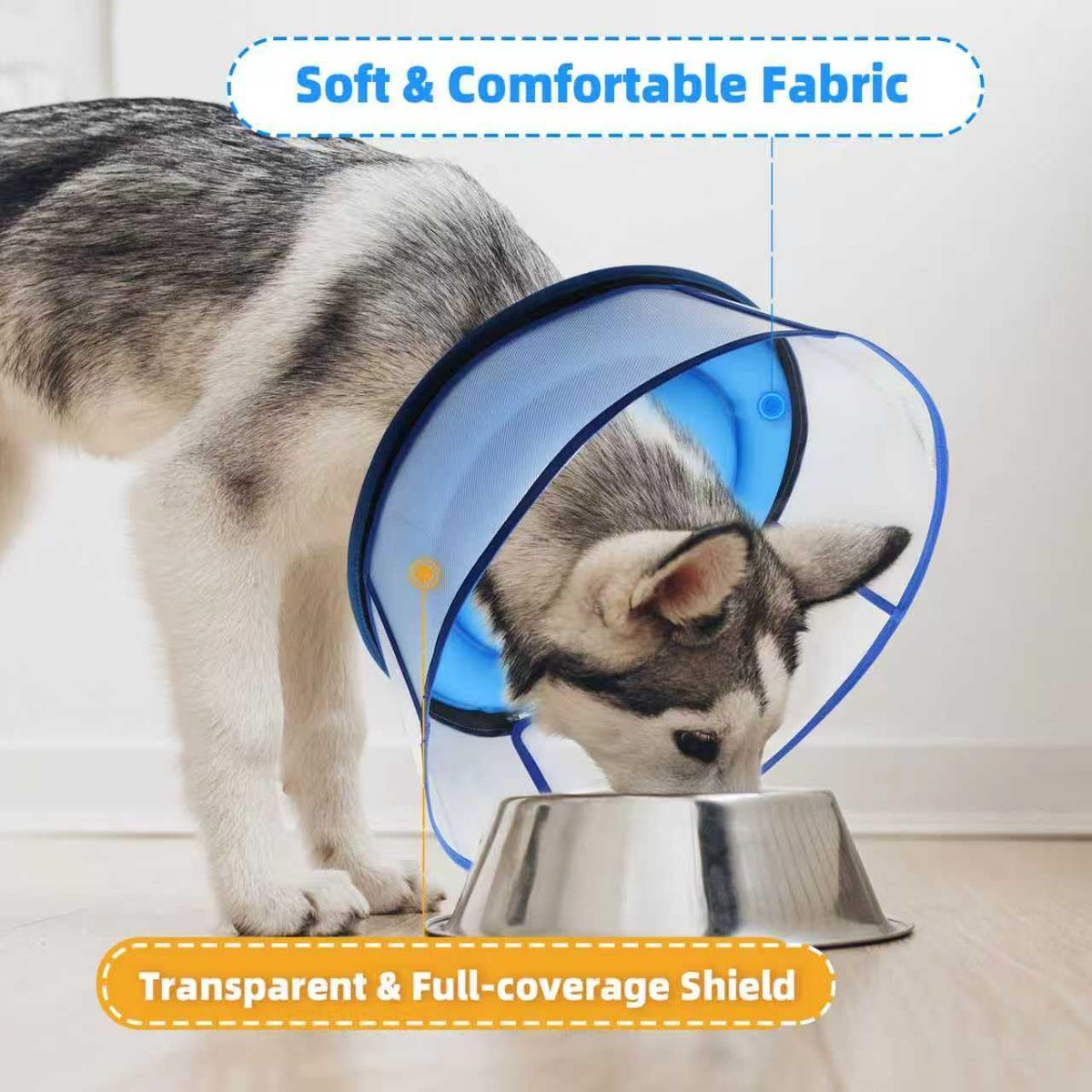 Inflatable Dog Cone Collar (Medium / Blue)