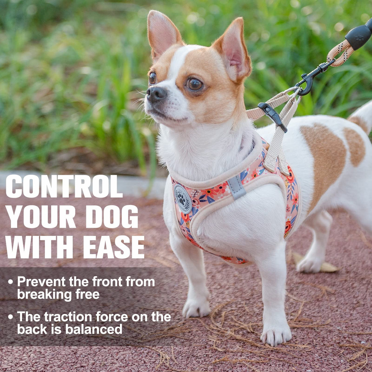 Small Dog Harness and Leash Set (XX-Small(Chest Girth 11.5"-13") / Pink Rose)