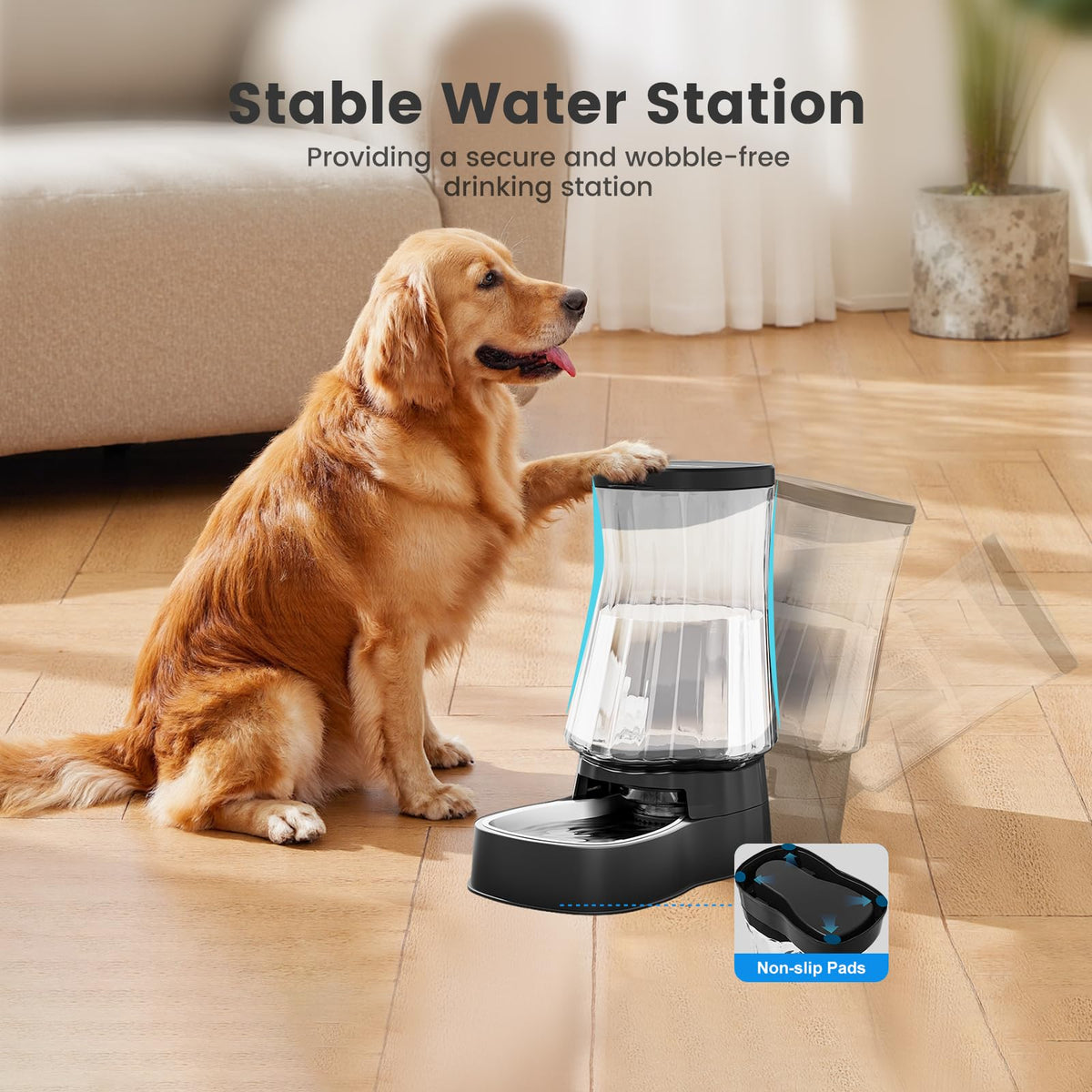Automatic Dog Water Dispenser (Black / 1.6 Gallon)