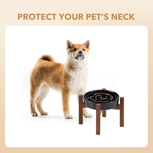Raised Slow Feeder Dog Bowls (1 x Starry Sky + Stand - A / M- 7.3inch / 1.2 Cups)