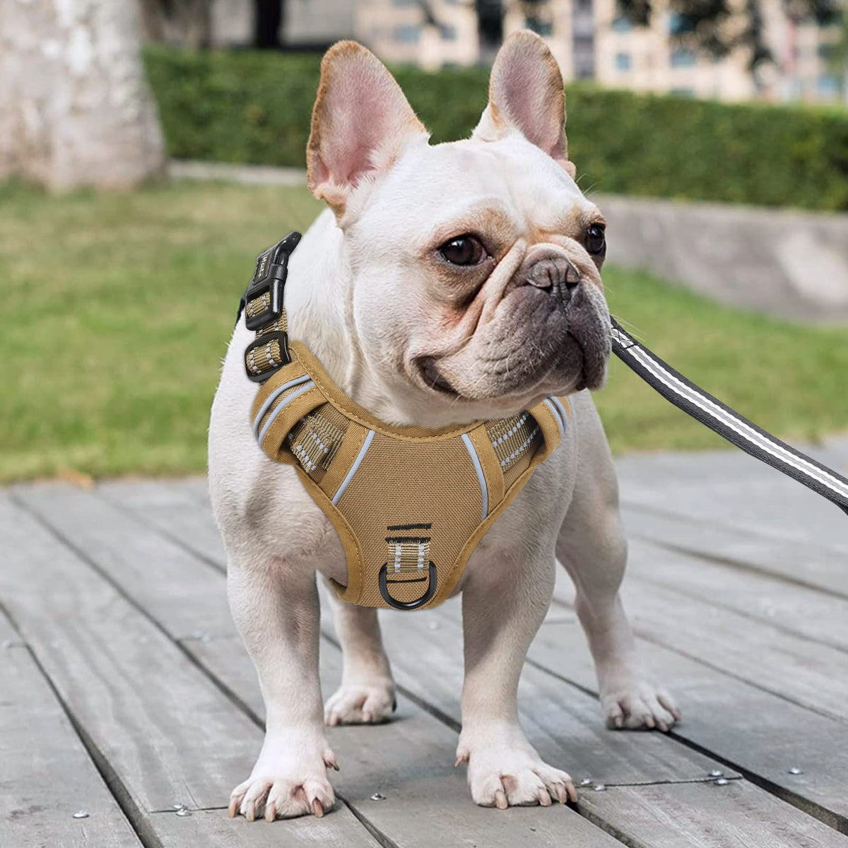 Dog Harness Dog Harness for Small Medium Large Dogs No Pull Adjustable Padded Reflective Harness with Handle for Walking Training (S / Brown)