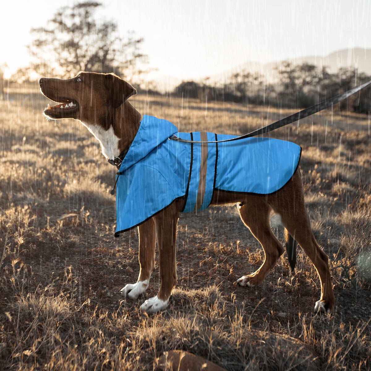 Dog Raincoat Waterproof Dog Rain Jacket with Leash Hole (Small / Blue)