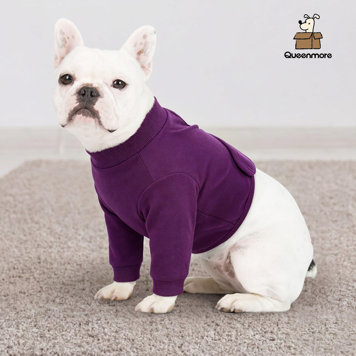 Large Recovery Suit for Dogs (XX-Large / Purple)