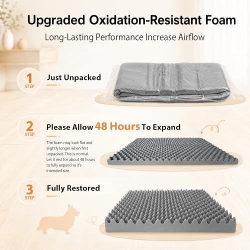 Orthopedic Dog Bed for Medium Dogs (Beige / 30.0"L x 20.0"W x 6.0"Th)