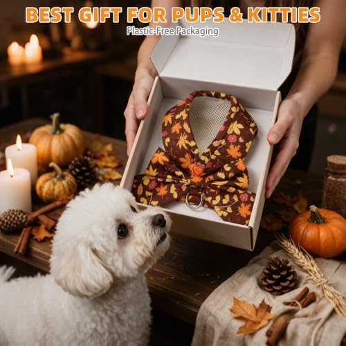 Fall Dog Harness and Leash Set for Small Medium Dogs (Brown / S (Chest Girth: 13.8"-15.7"))