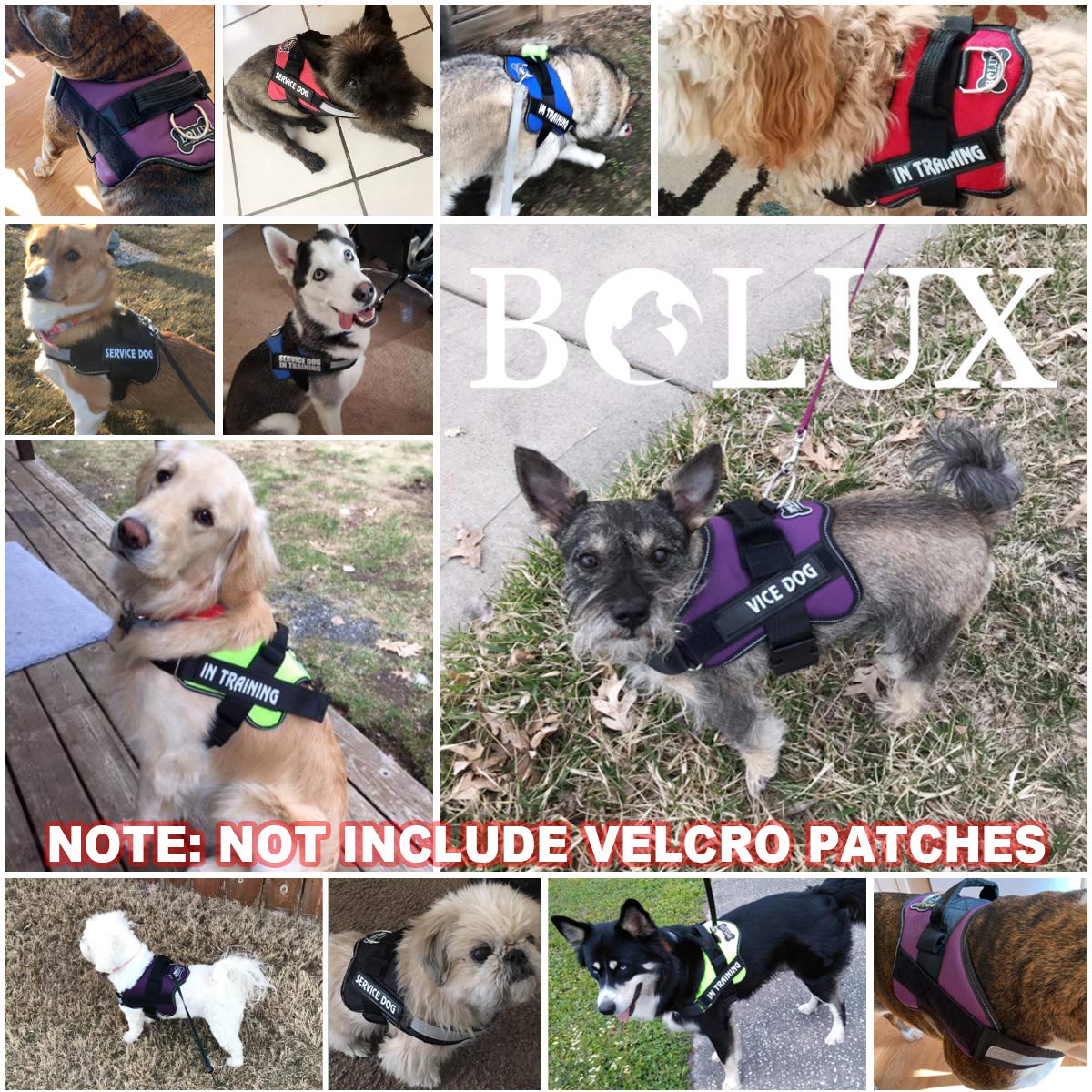 Dog Harness No (Medium (Pack of 1) / Dark green)