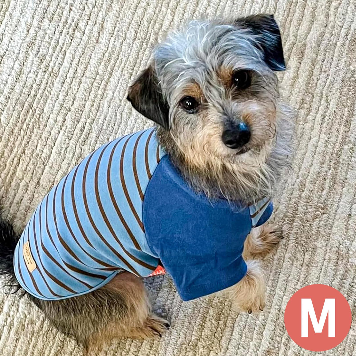 2Pack Dog Sweater with Sleeves Fleece Shirt for Small Dogs (Medium (8.5-13lbs) / 02# Blue+Stripe)