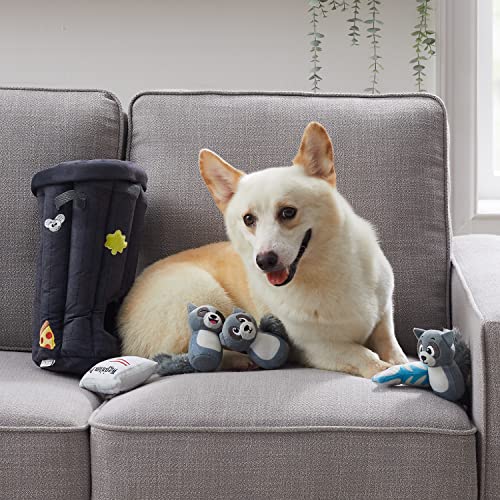 Hide A Raccoon Plush Dog Toy Puzzle