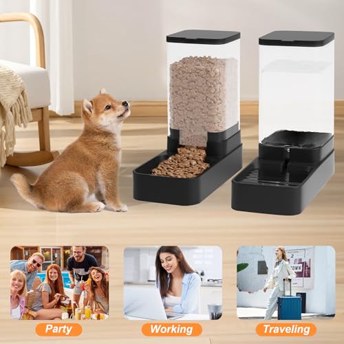 Automatic Cat Feeder and Water Dispenser in Set with Pet Food Bowl
