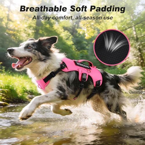 No Escape Dog Harness (Hotpink / Medium: 30-50 lbs (Chest:24-28",Neck:17-19"))