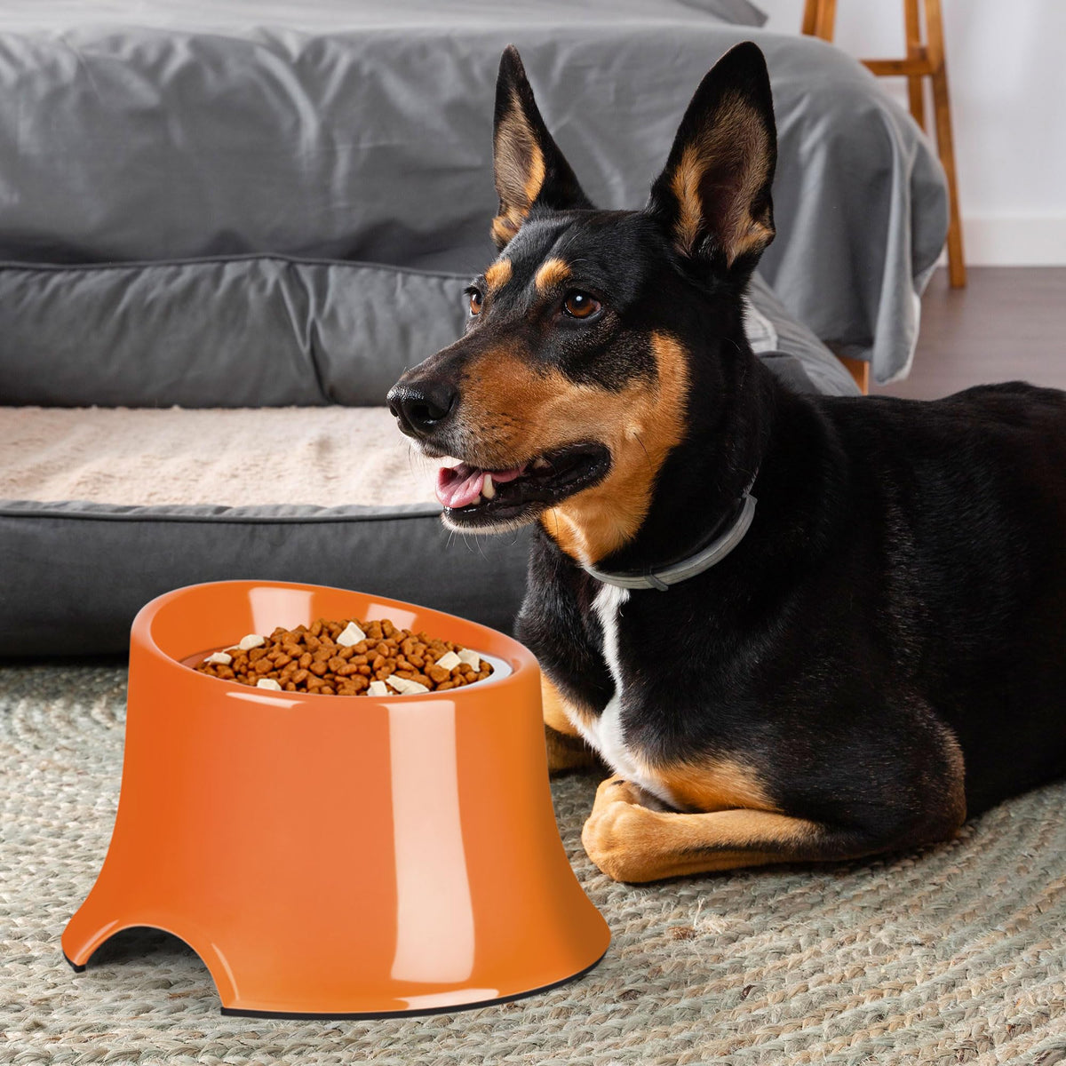 Tilted Elevated Dog Bowls Non (M/2 Cup / Orange)