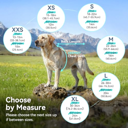 Dog Raincoat Wetoff Dog Rain Coat (Yellow / XL (30"-34" chest girth))