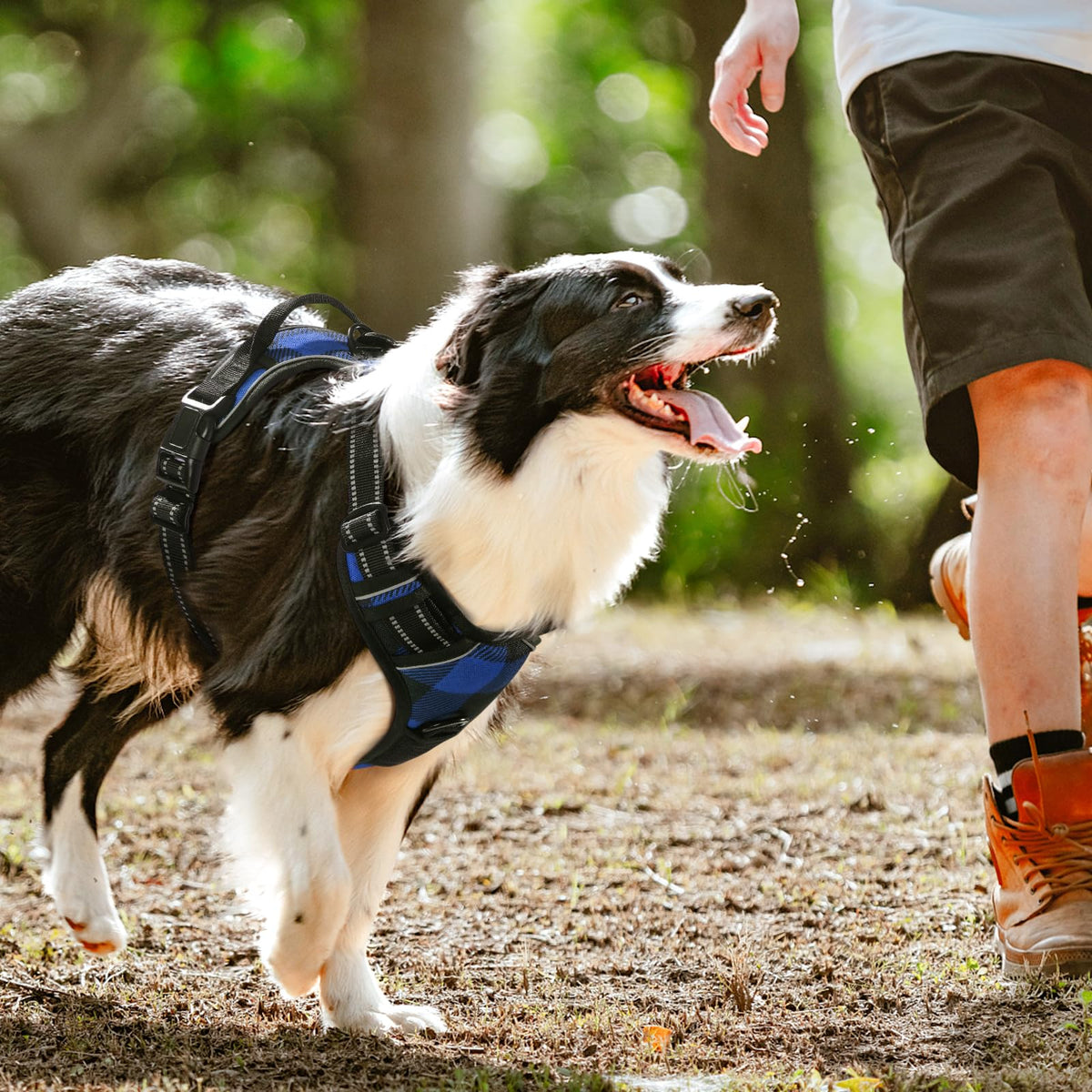 Dog Harness No Pull for Large Dogs with 2 Leash Clips (X-Large / Blue Plaid)