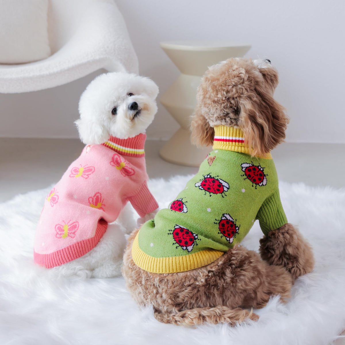 Funny Ladybug Dog Ugly Sweater (X-Small / Ladybug)