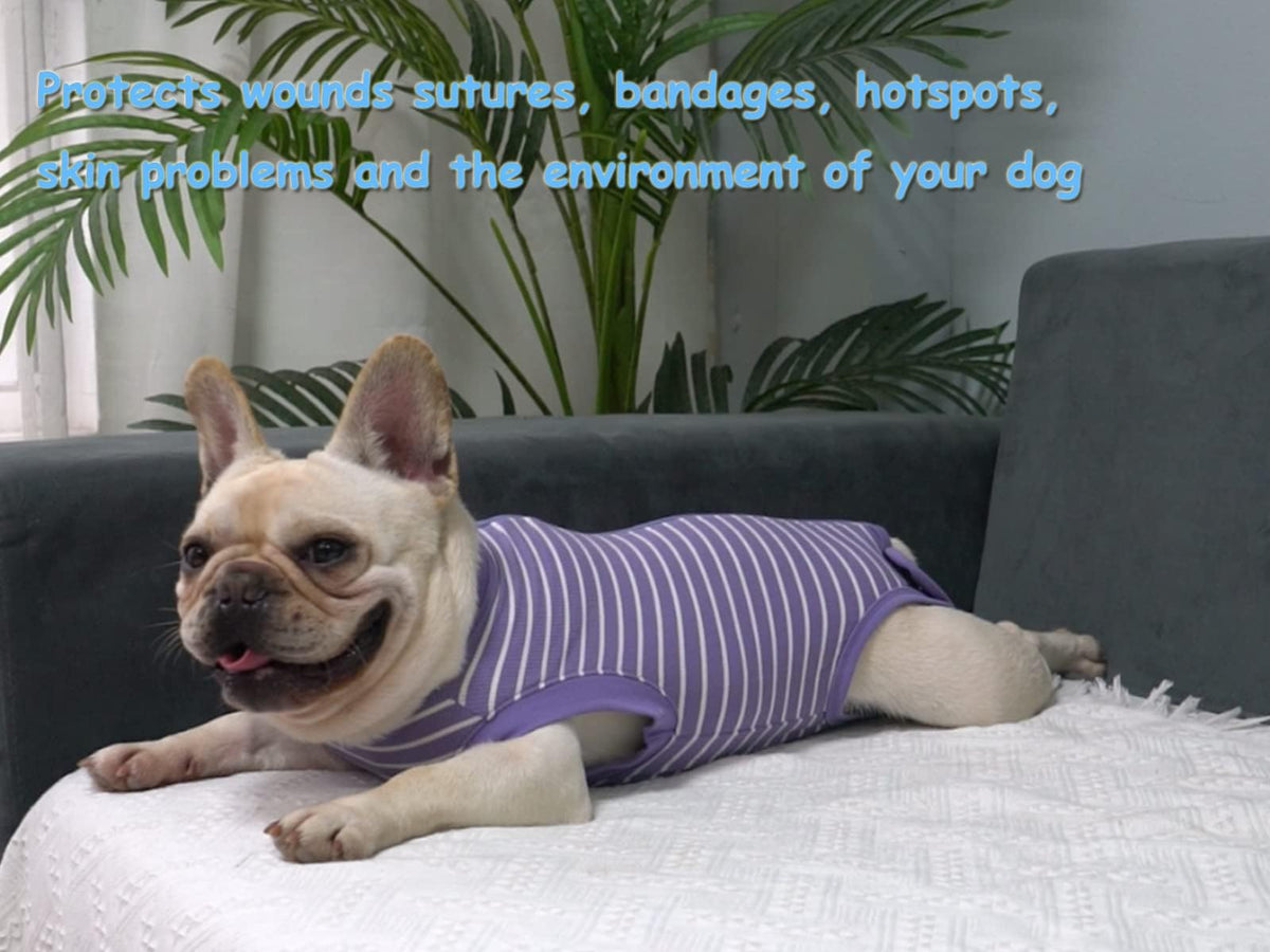 Dog Surgery Recovery Suit (3XL(Back 24-26" Chest 27-29" Weight 80-115lb) / Purplewhite)