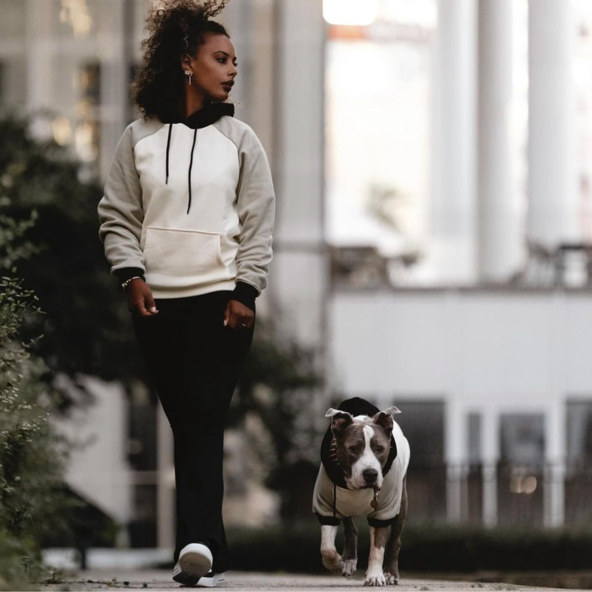 Dog Hoodie Buttery (Olive Cream / 3XL)