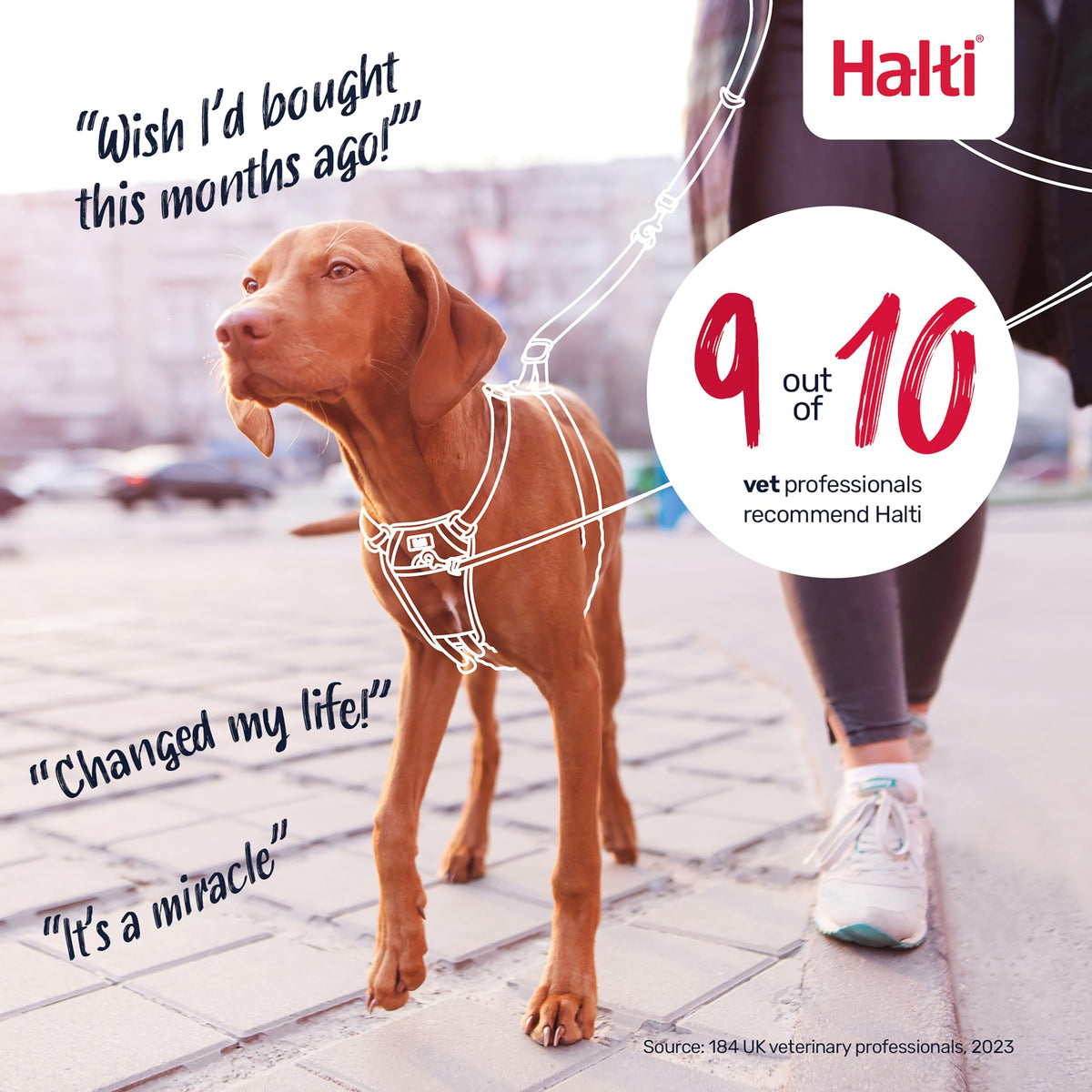 Halti No Pull Dog Harness (Black / S)