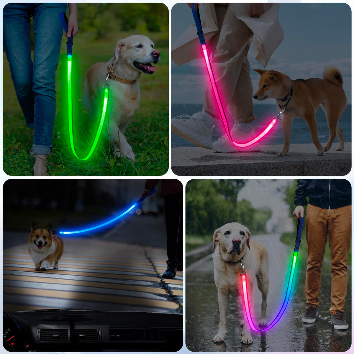 4 Ft Multi Color Light up Dog Leash (Multi-Color / 4 FT (Blue))