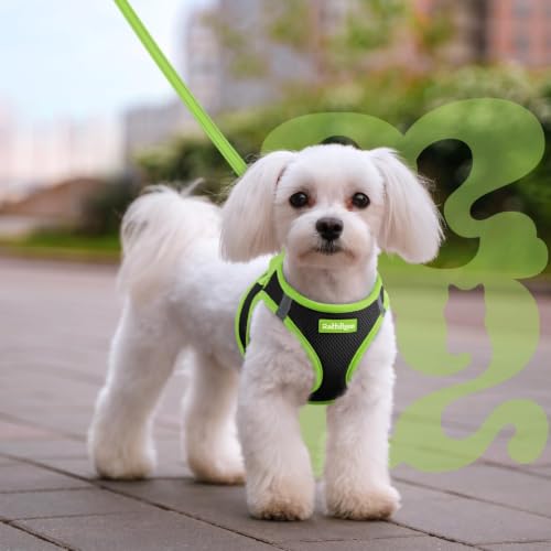 Dog Harness Small Sized and Leash Set (Black & Green / L (Chest: 18.2"-20.5"))